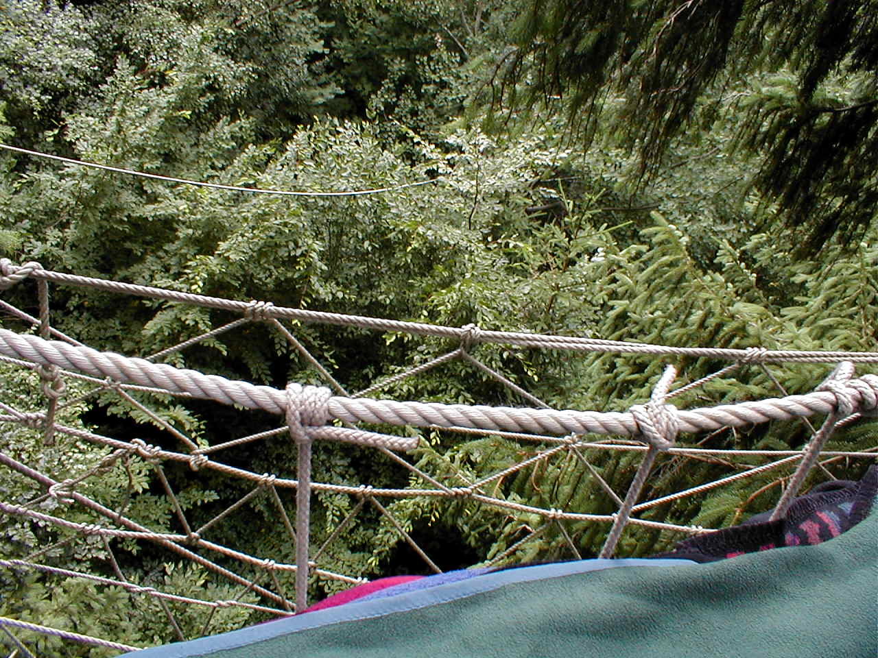 Blick nach S�den unten