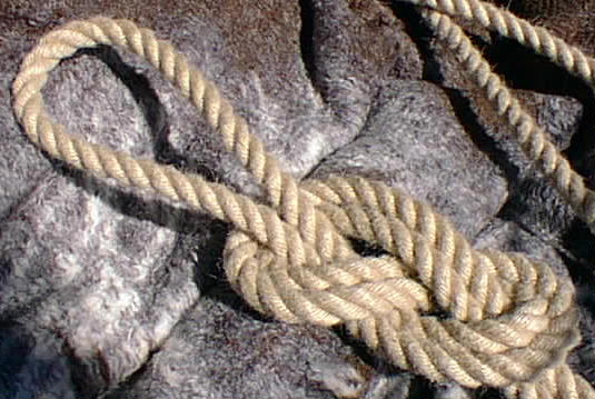 Figure-of-eight loop