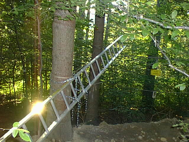 The lowermost access-ladder, currently secured