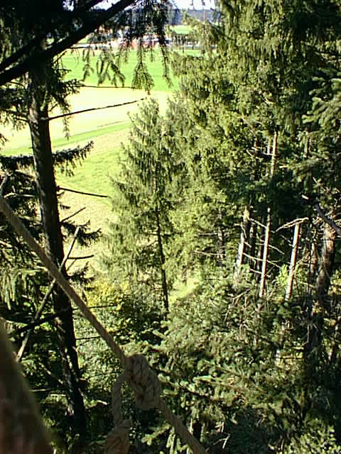 View from the nest to the northwest